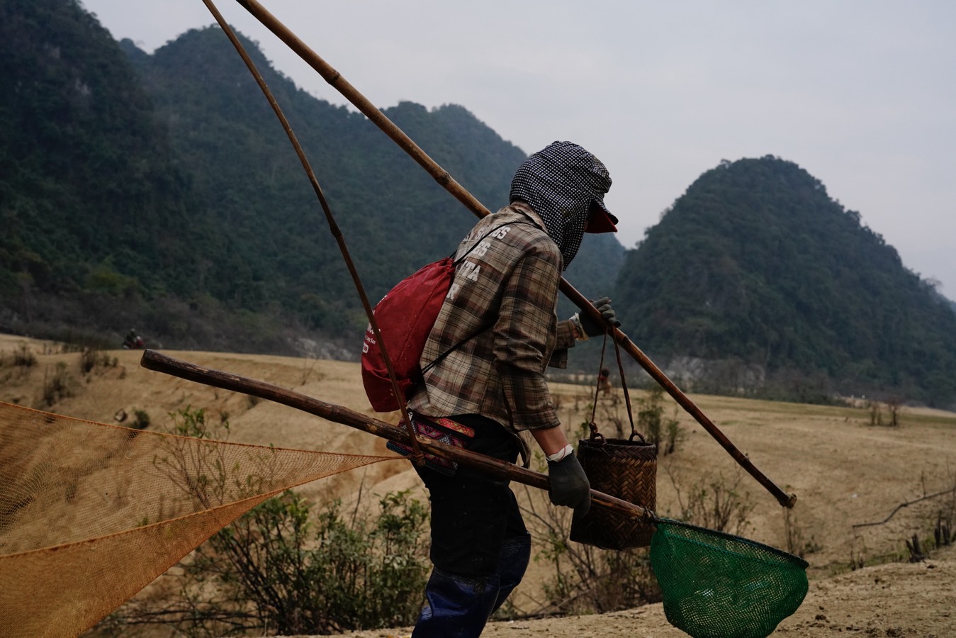 Khoai lang bạt – tiếp nối hành trình từ địa phương