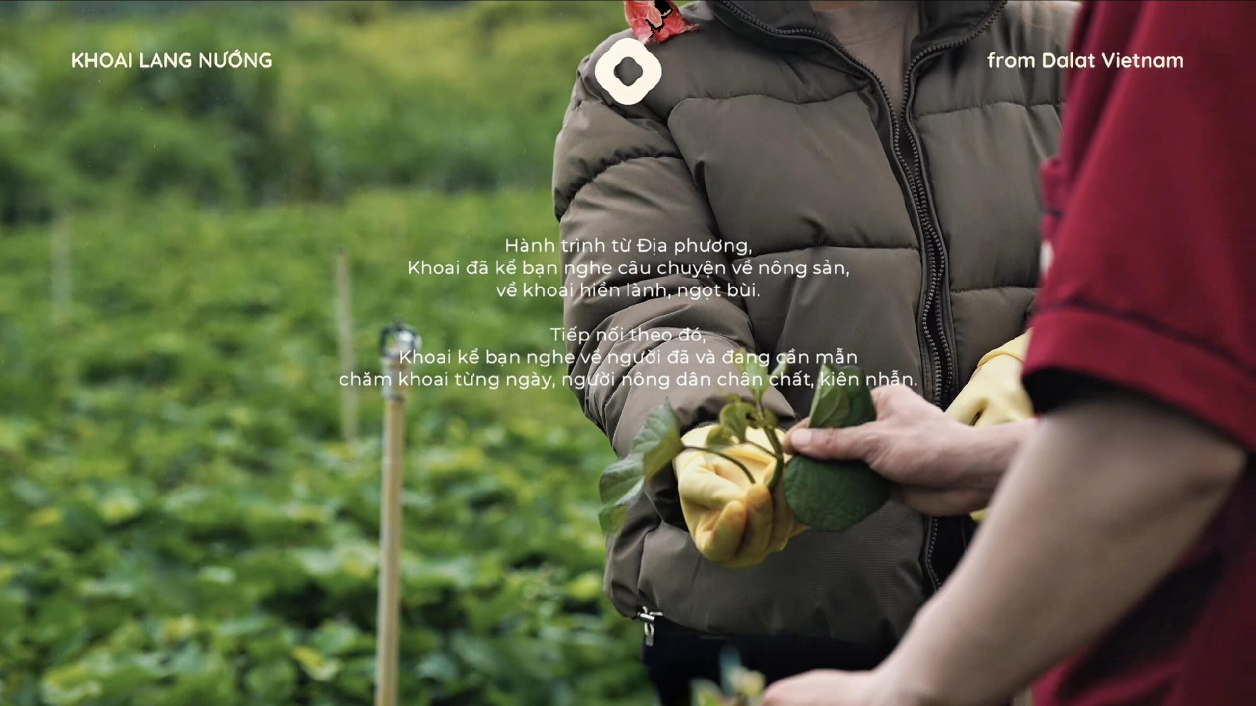 Về Khoai Lang Nướng